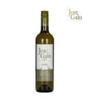 Jose Galo Verdejo