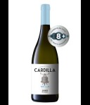 Pellegrino Cardilla Grillo